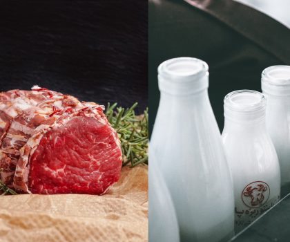Мясо — дешевле, молоко — дороже: как отличаются цены в Украине и ЕС