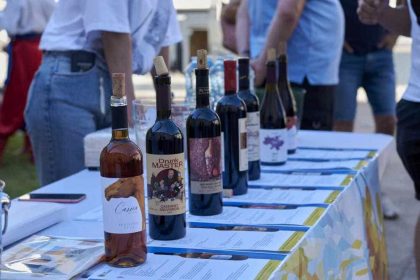 Україна на Fête de la Vigne: у Діжоні відбувся вечір українських вин та страв