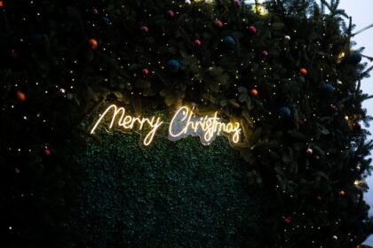 Простори та ресторани з найкрасивішими ялинками, декором і зимовими терасами