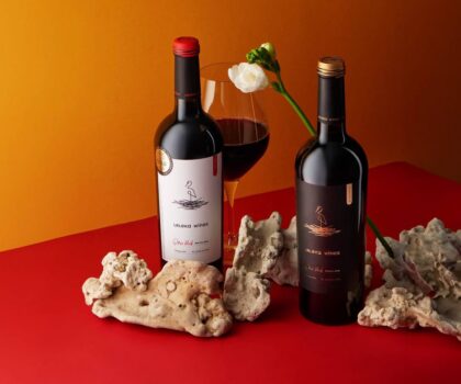 Le Voyage en Ukraine у Марселі: культура, гастрономія та українське вино як символи стійкості і діалогу