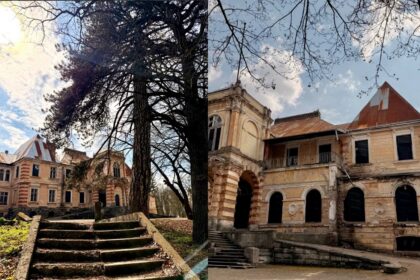 На Львівщині палац Жевуських-Лянцкоронських планують відновити за €15 млн і відкрити ресторан та винарню